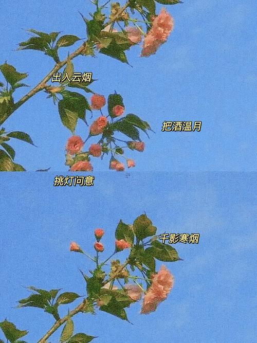 四個(gè)字的情侶網(wǎng)名