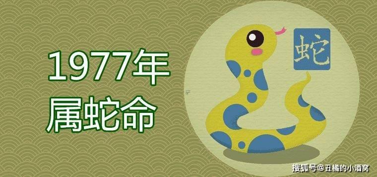 屬蛇女優(yōu)點是何事