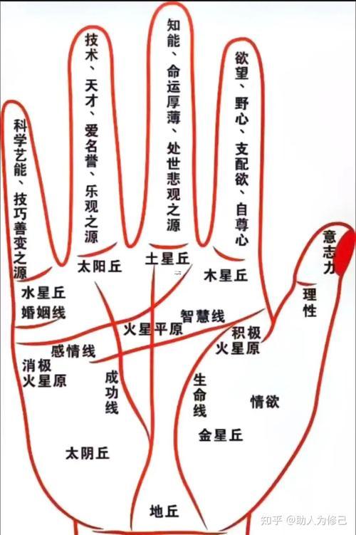 手相調(diào)侃女孩