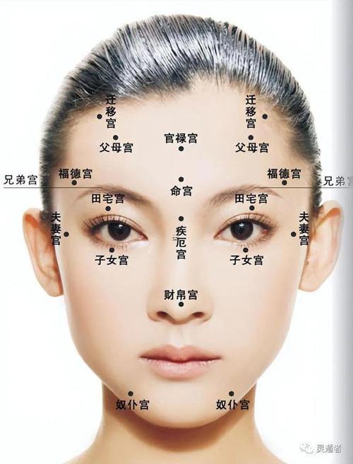 女人五官面相算命圖解