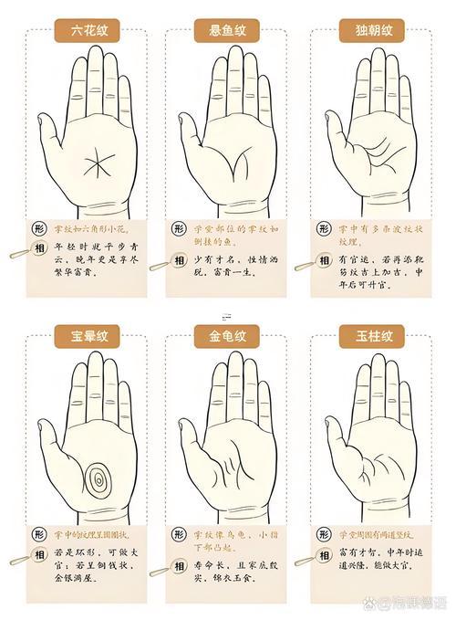 看人得面相算命運(yùn)