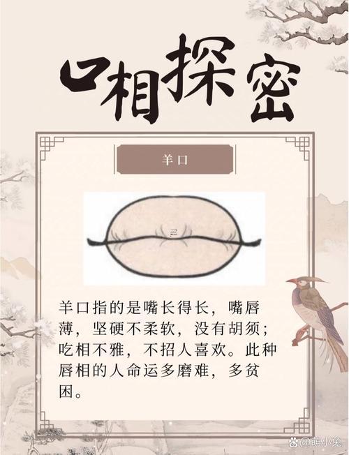 鳥嘴面相的人一定不好嗎