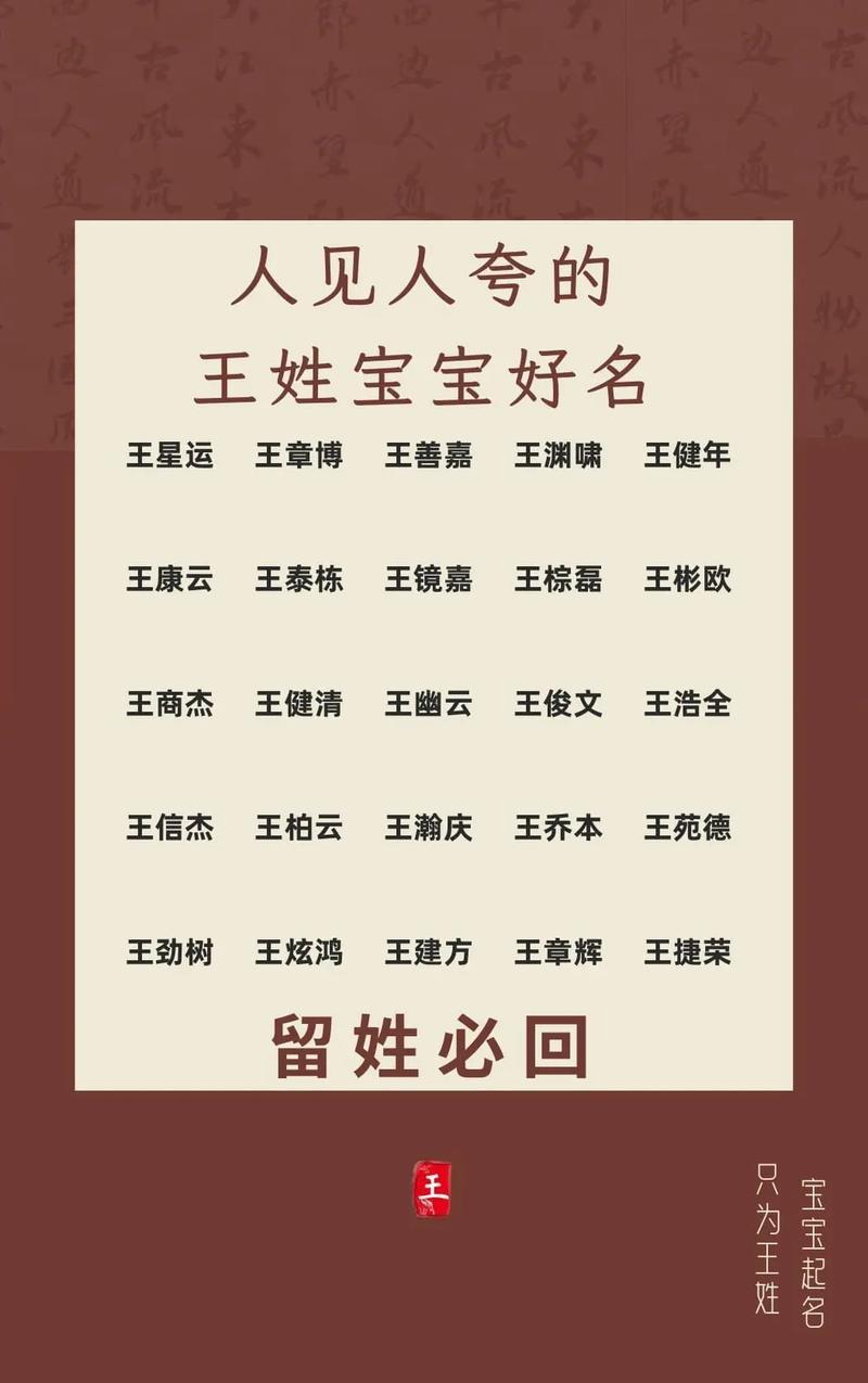 2024男孩兒王姓名字大全