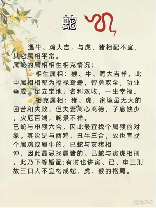 屬狗男最佳婚配屬相