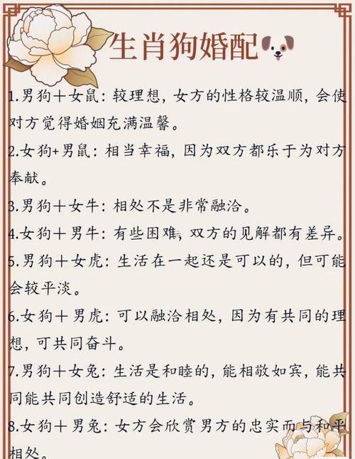 1982年屬狗女的婚姻狀況