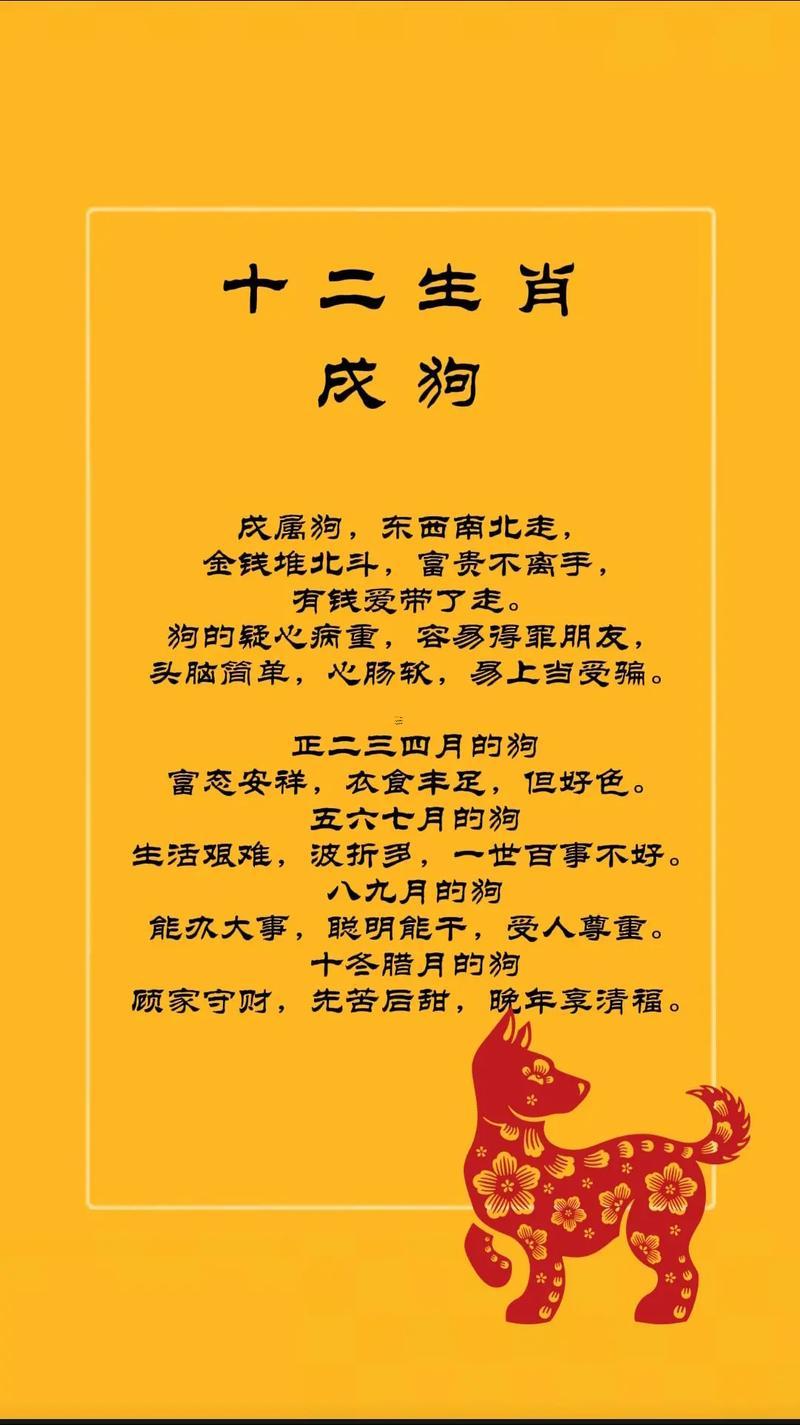 男屬狗跟著什么東西東西屬相不配