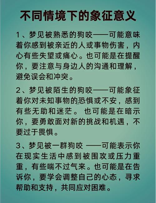 女人夢(mèng)見狗咬破腿出血