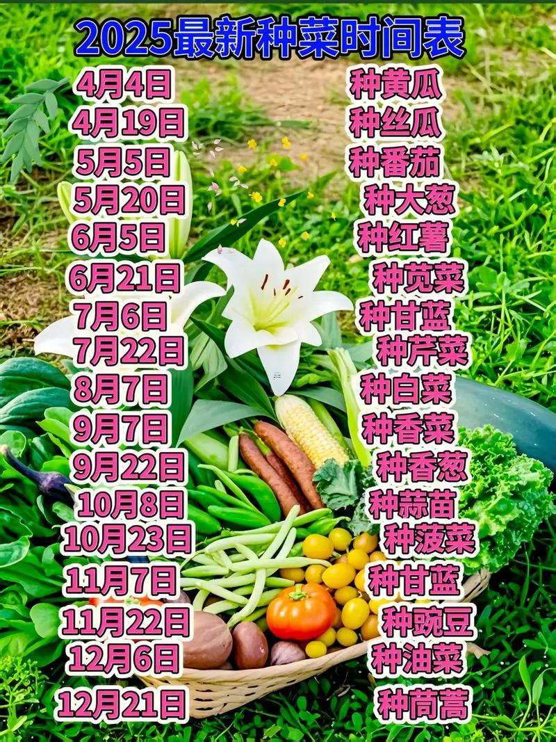 2025年9月種菜吉日