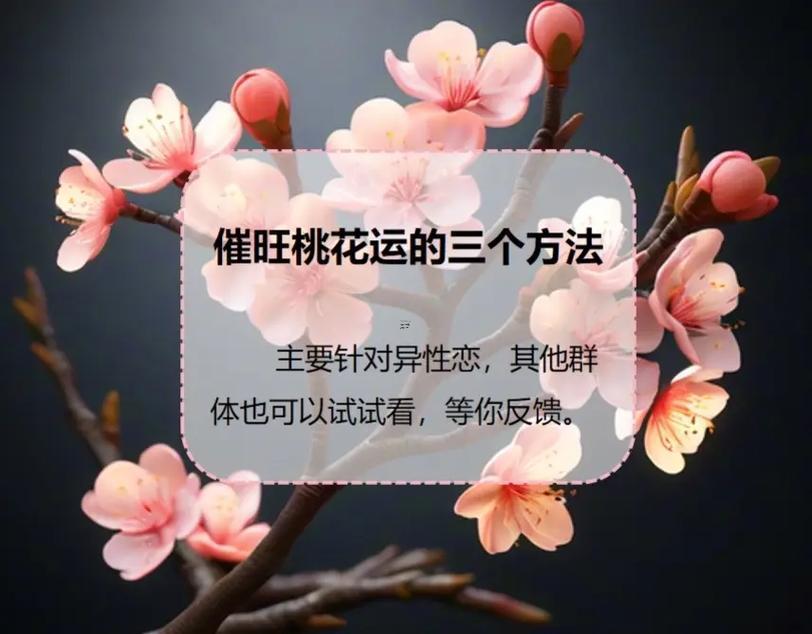 怎么辦提高自己的桃花運勢