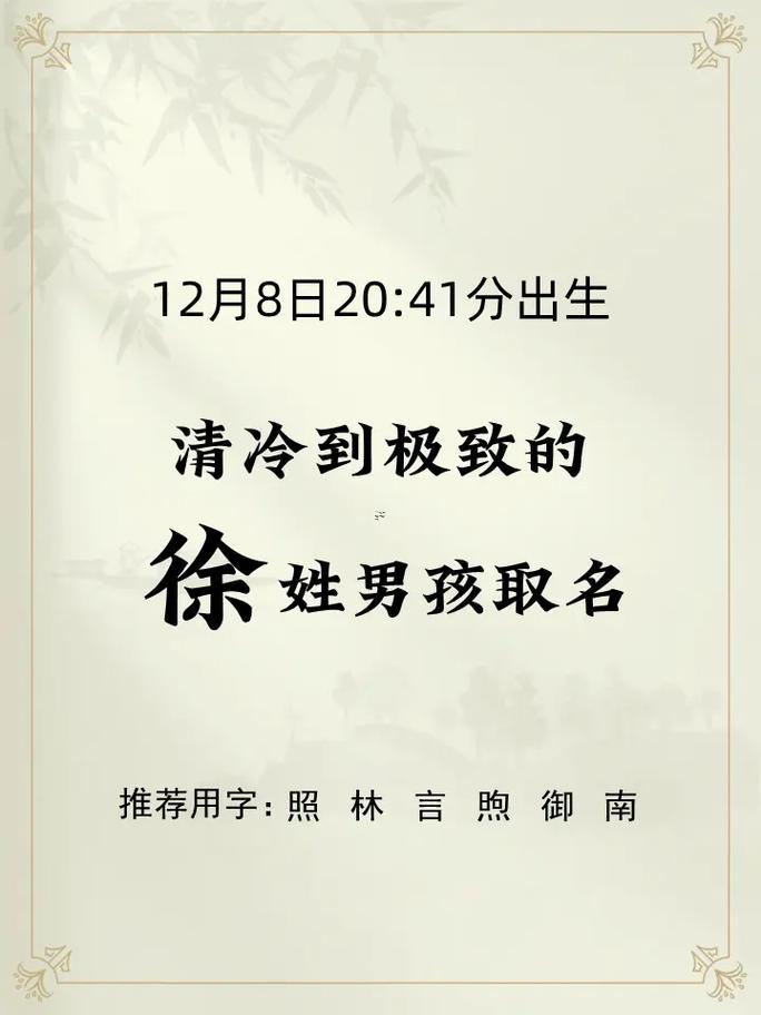 徐姓2個字男寶寶起名
