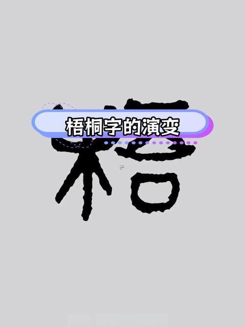 桐字五行屬什么東西的