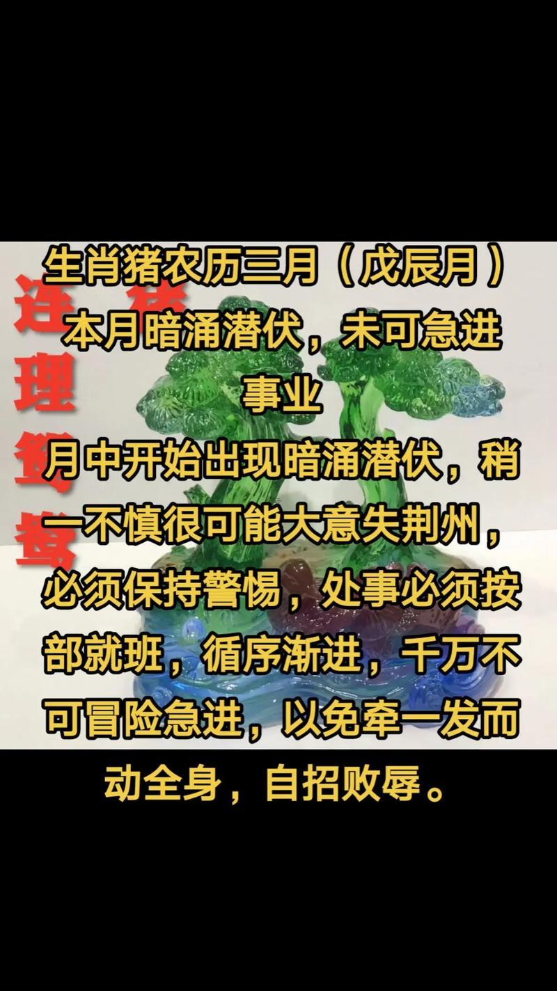 屬豬的何事時(shí)間出生好