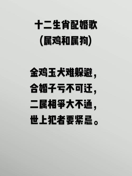 屬狗男跟屬雞女的婚姻好不好