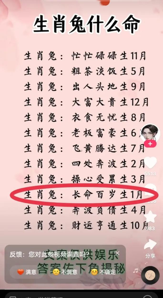 屬兔的今年不能結(jié)婚嗎