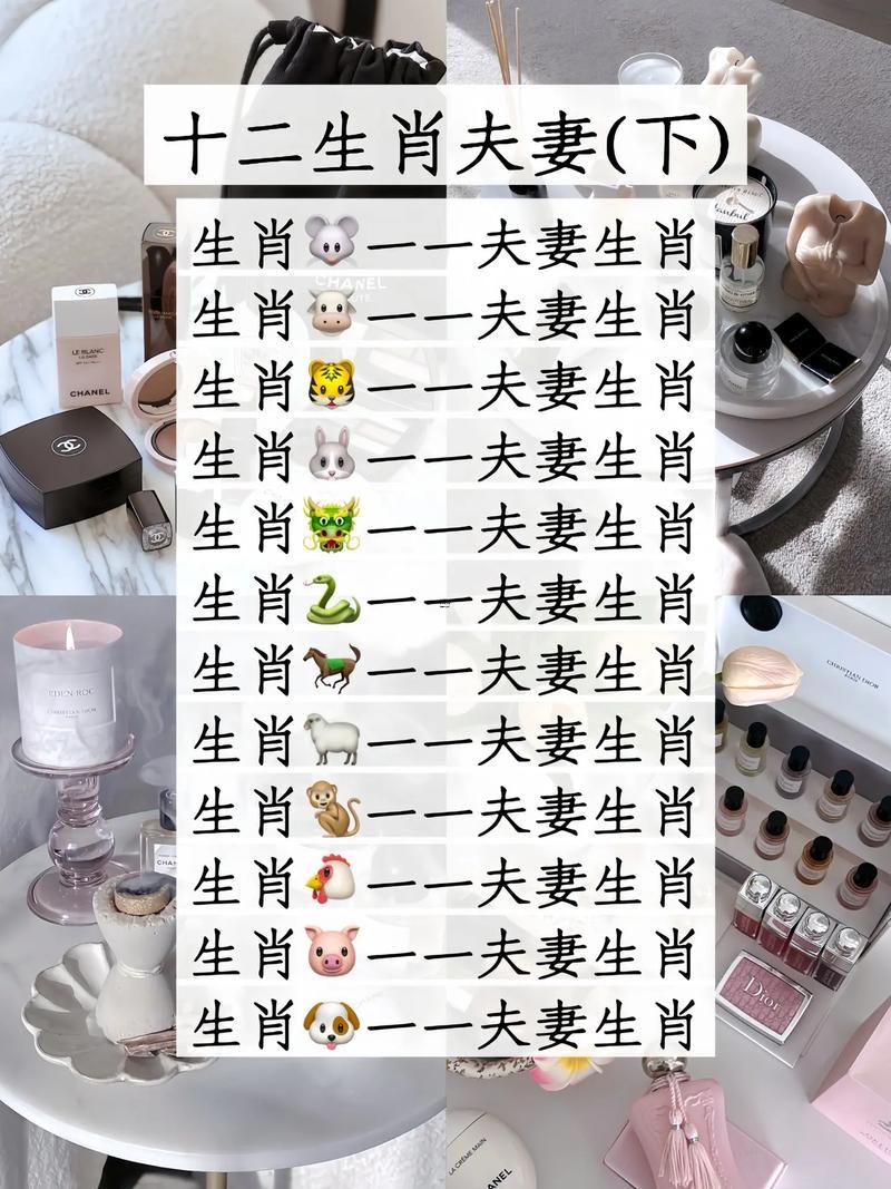 屬豬男和鼠女的婚配指數(shù)