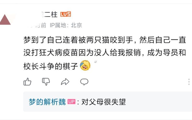 夢(mèng)到一只貓咬我的手