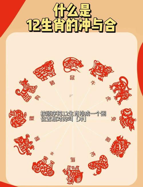 屬相沖突的生肖