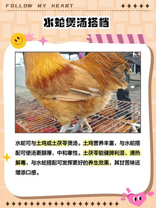 女人夢見水里一條長蛇