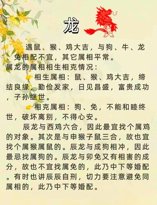 屬馬與屬羊得婚配好不好