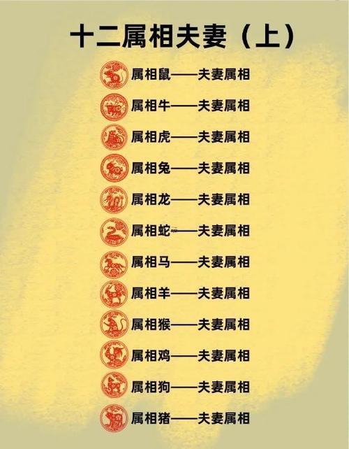 屬豬女婚配最佳配對