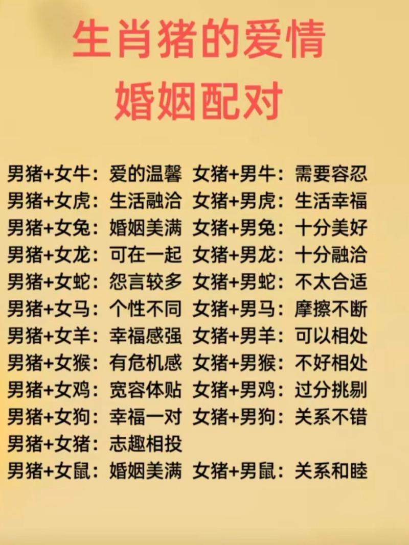 屬豬婚姻怎樣