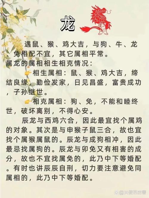屬鼠的與屬豬的