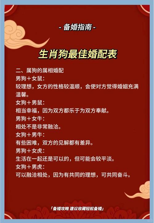 屬狗的適合多少歲結(jié)婚