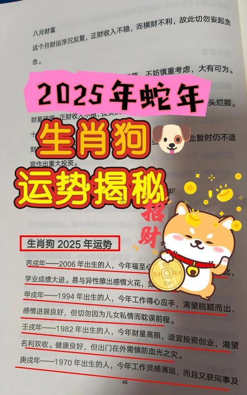 屬狗2025年運勢與運程詳解
