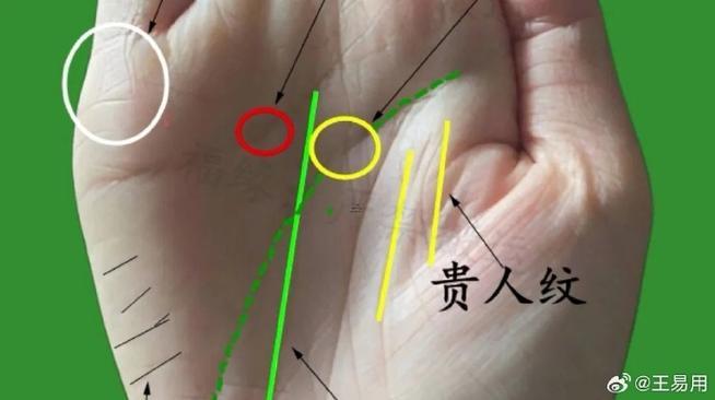 手相食指下面的橫紋是何事東西意思