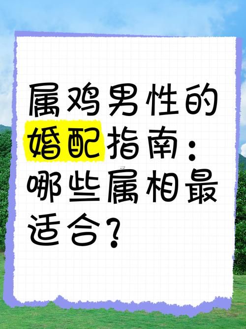屬雞男的婚姻怎么