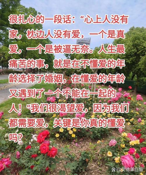 訴不盡一生姻緣含義