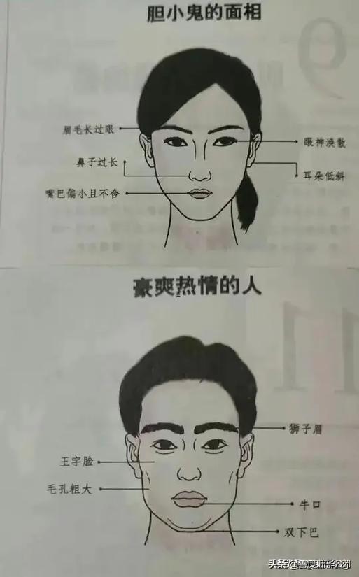 額頭上半部分凸起面相