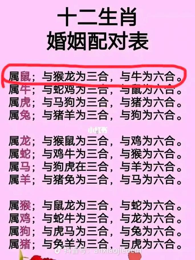 男84年的鼠婚配92的猴