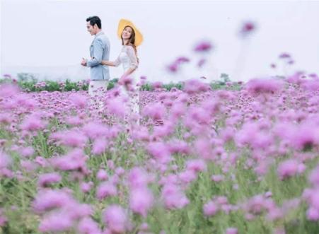 2026年1月適合結(jié)婚的好日子 2026年1月結(jié)婚吉日查詢
