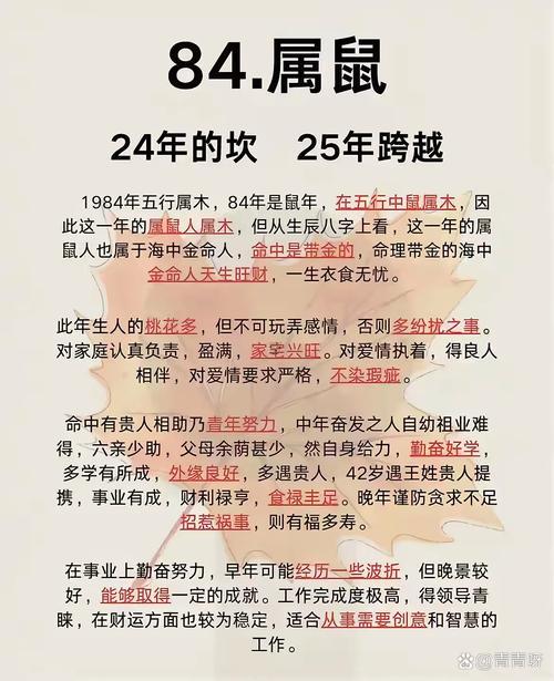 72年屬鼠2025年的運(yùn)程