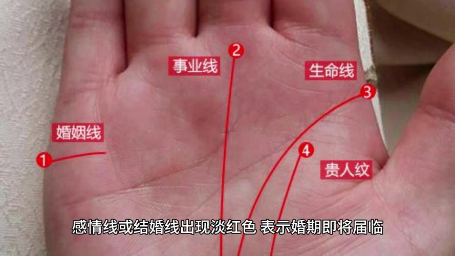 男左女右看手相怎么看