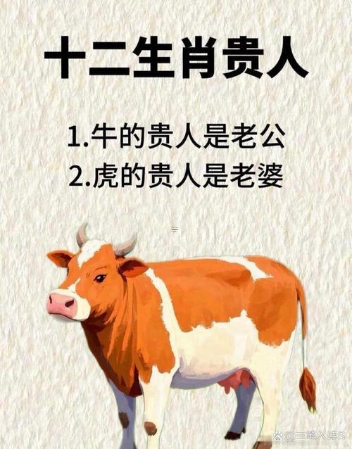 屬馬和屬虎的婚姻合嗎