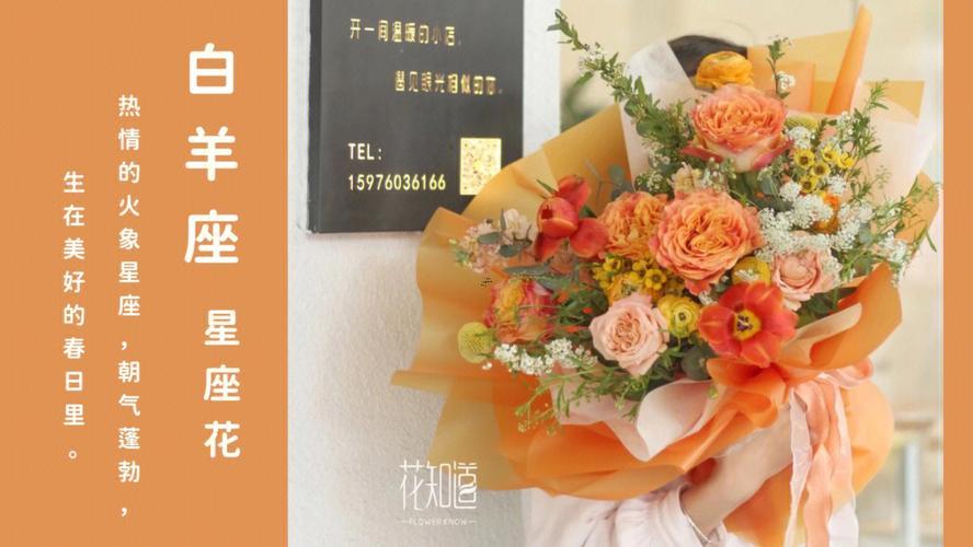 白羊座像何事花