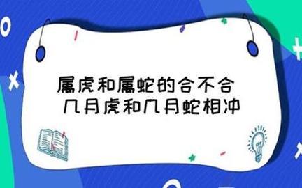 蛇婚姻配啥生肖最好