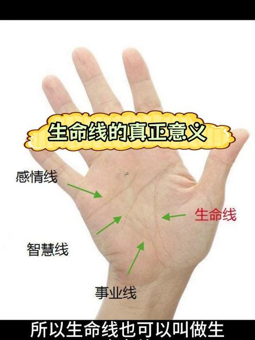 手相末端分叉