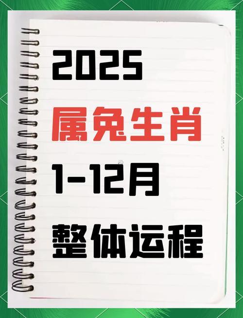 63年屬兔人在2025年的運(yùn)勢
