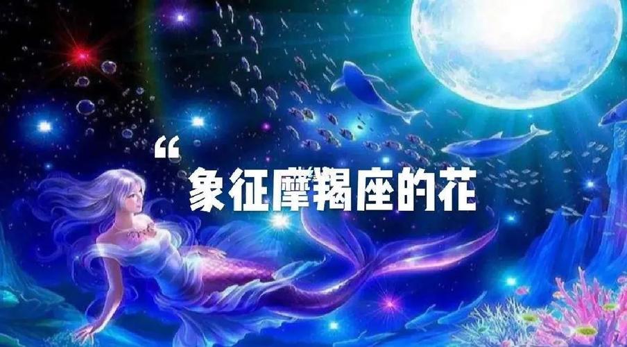 摩羯座生日花語