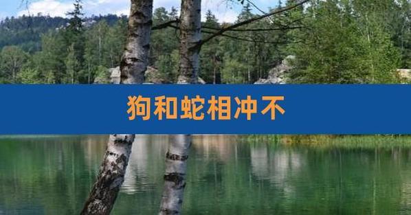 屬狗與蛇相沖嗎