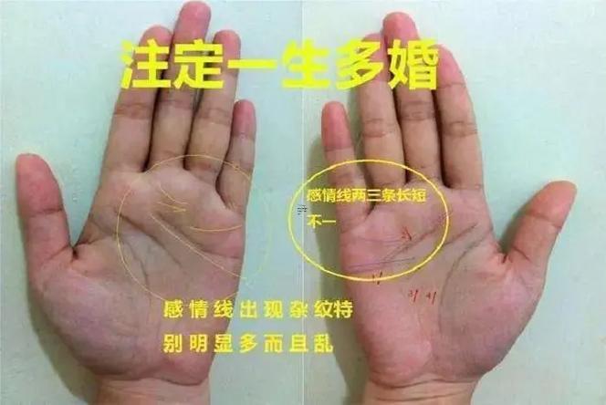 女人看手相是看左手還是右手