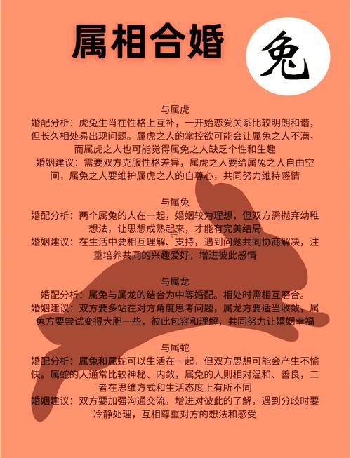 屬兔名字忌諱