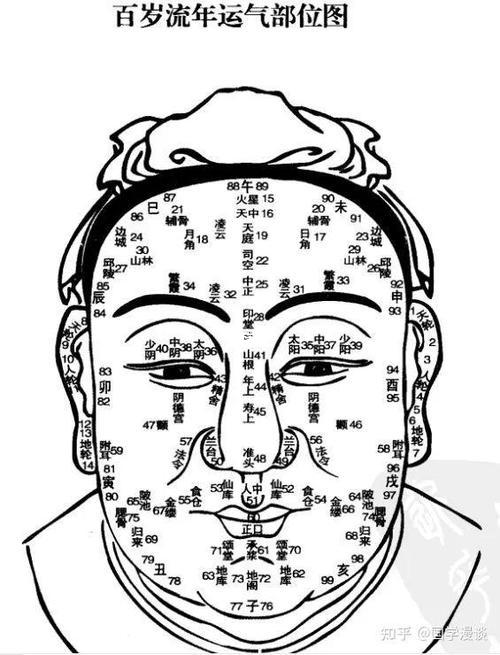 面相百歲圖怎么看