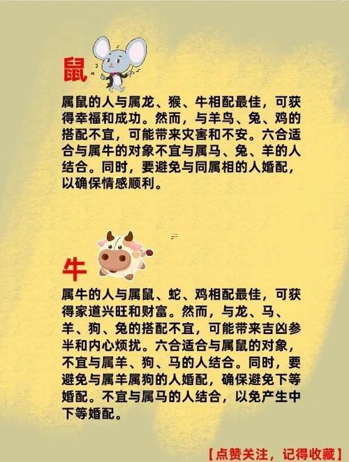 龍牛屬相婚配好