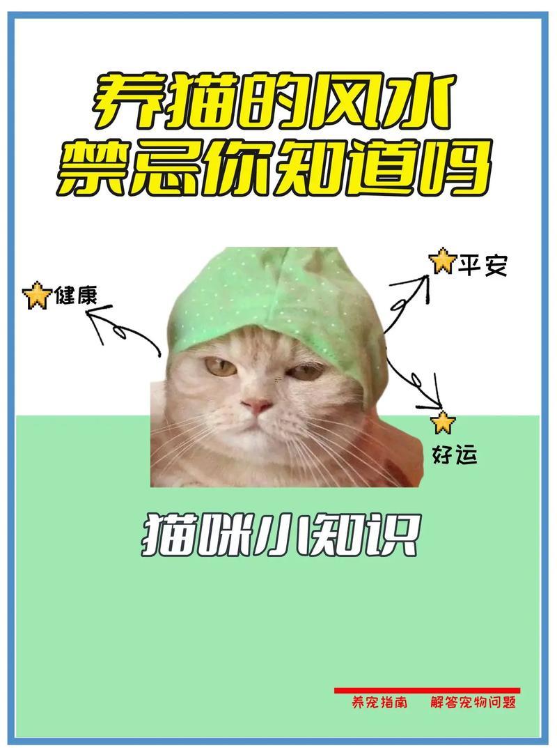 家里養(yǎng)貓的風(fēng)水