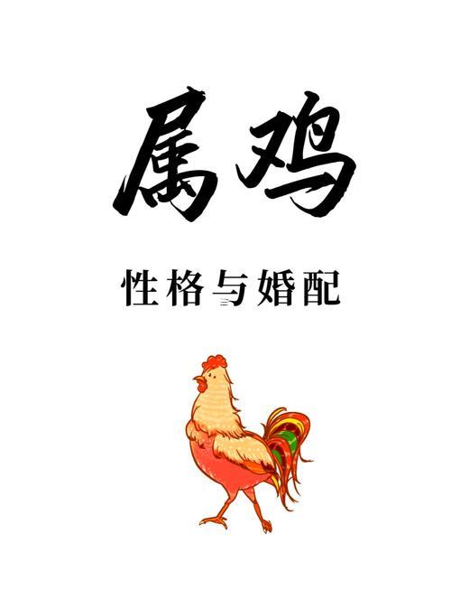 屬雞的與屬兔的好嗎