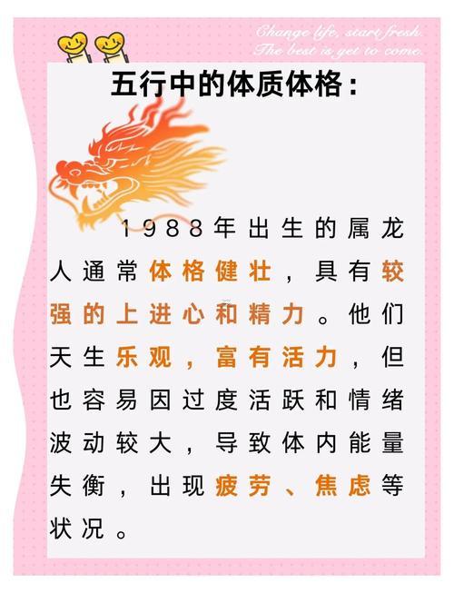 2025年屬龍的是什么命納音